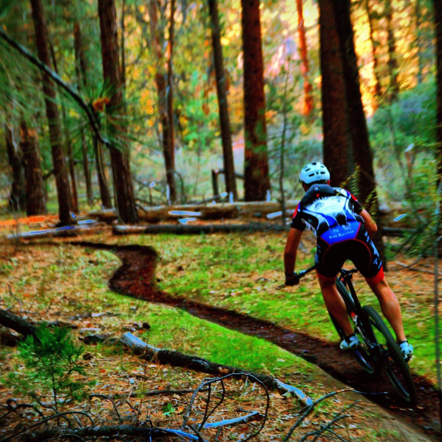 Gear Quiver, fits normal size and plus size phones, plus nutrition.