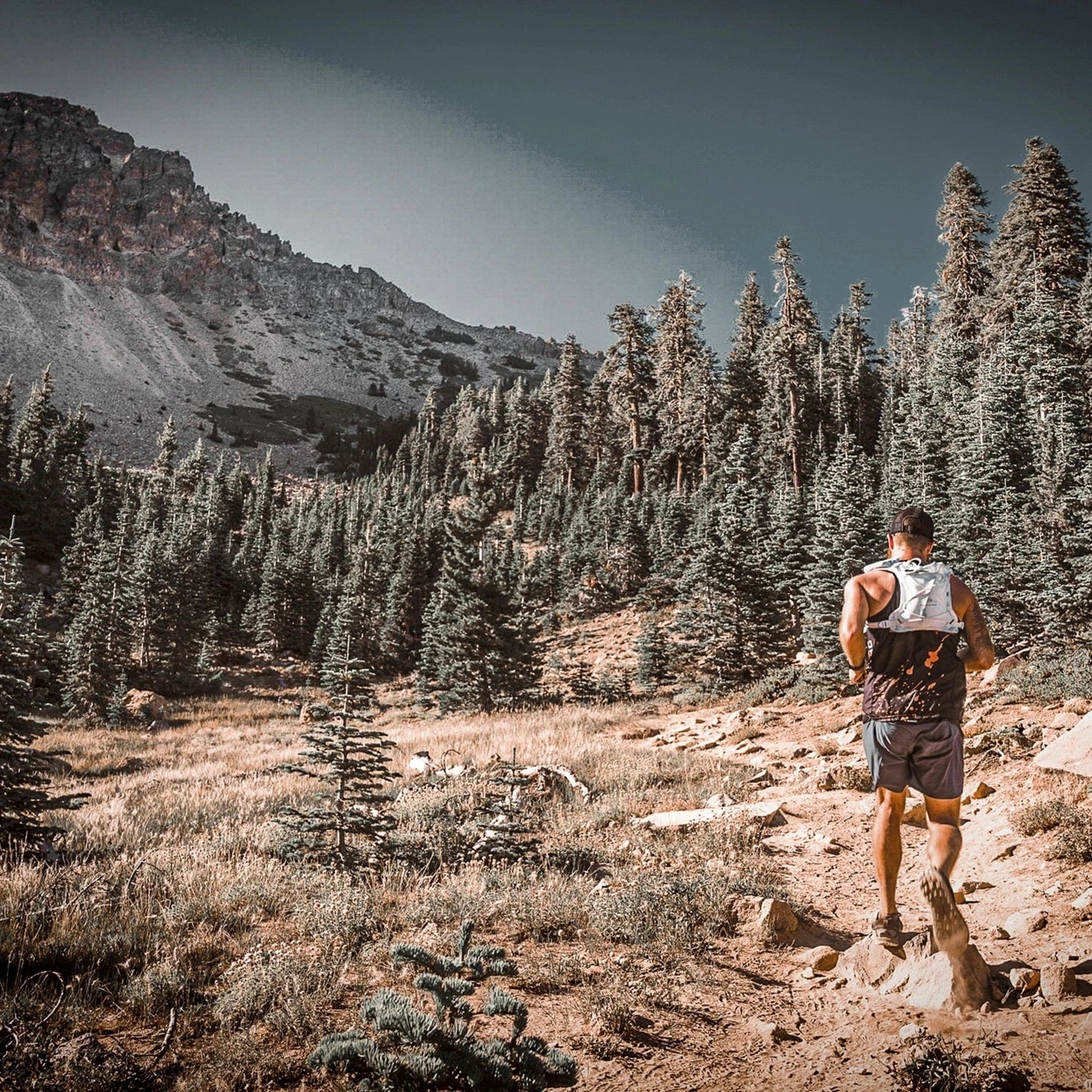 Gear Vest, Version V4.0: Ideal for running, biking, triathlon